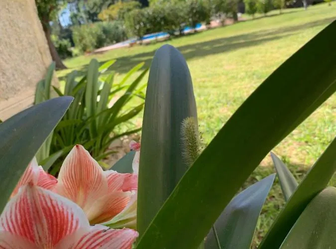 Hostel Expo Porriño